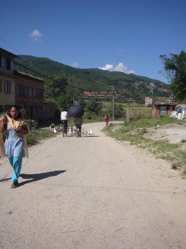Travel - Nepal - Dhulikhel - Panauti to Dhulikhel